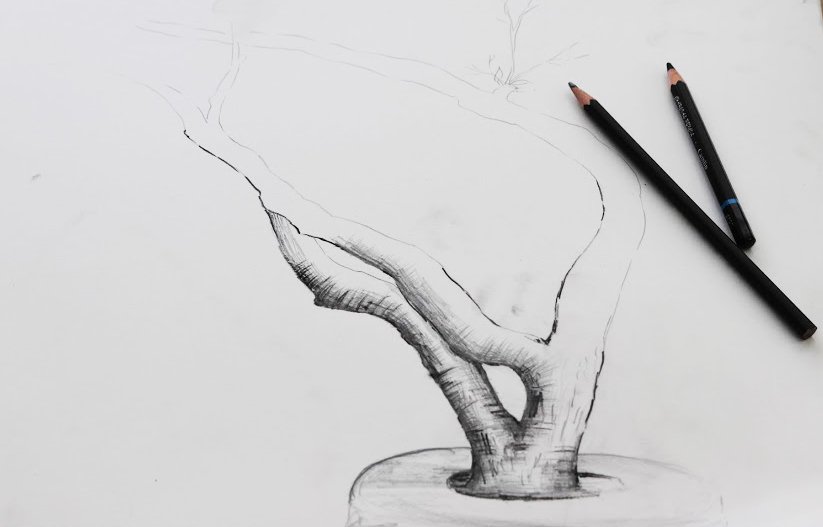 Importance of Pencil Shading | How to Shade | Coloring India Foundation